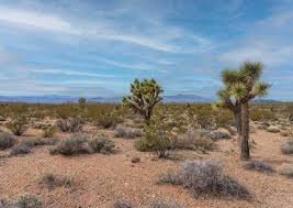 41000 W Indian School RD Lot 1, Tonopah, AZ 85354